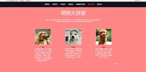 计算机毕业设计html5,div css的宠物狗个性化服务网站前端 静态网页设